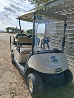 location voiture de golf &eacute;lectrique.jpg