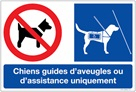 interdiction au chien.jpg